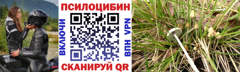 shop состав  Калининск  Псилоцибиновые грибы ЛСД 